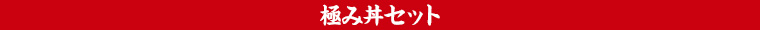 極み丼セット